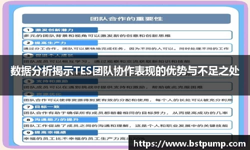 数据分析揭示TES团队协作表现的优势与不足之处